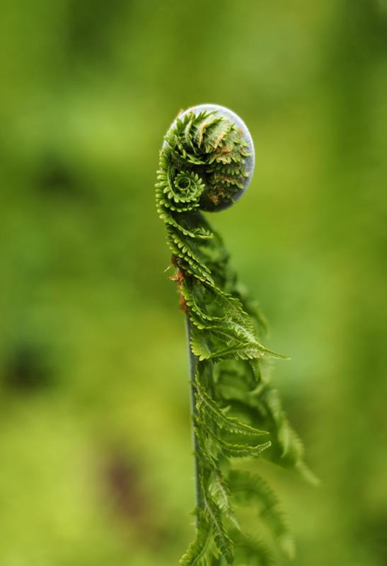 ŚWIATOWY DZIEŃ ŚRODOWISKA