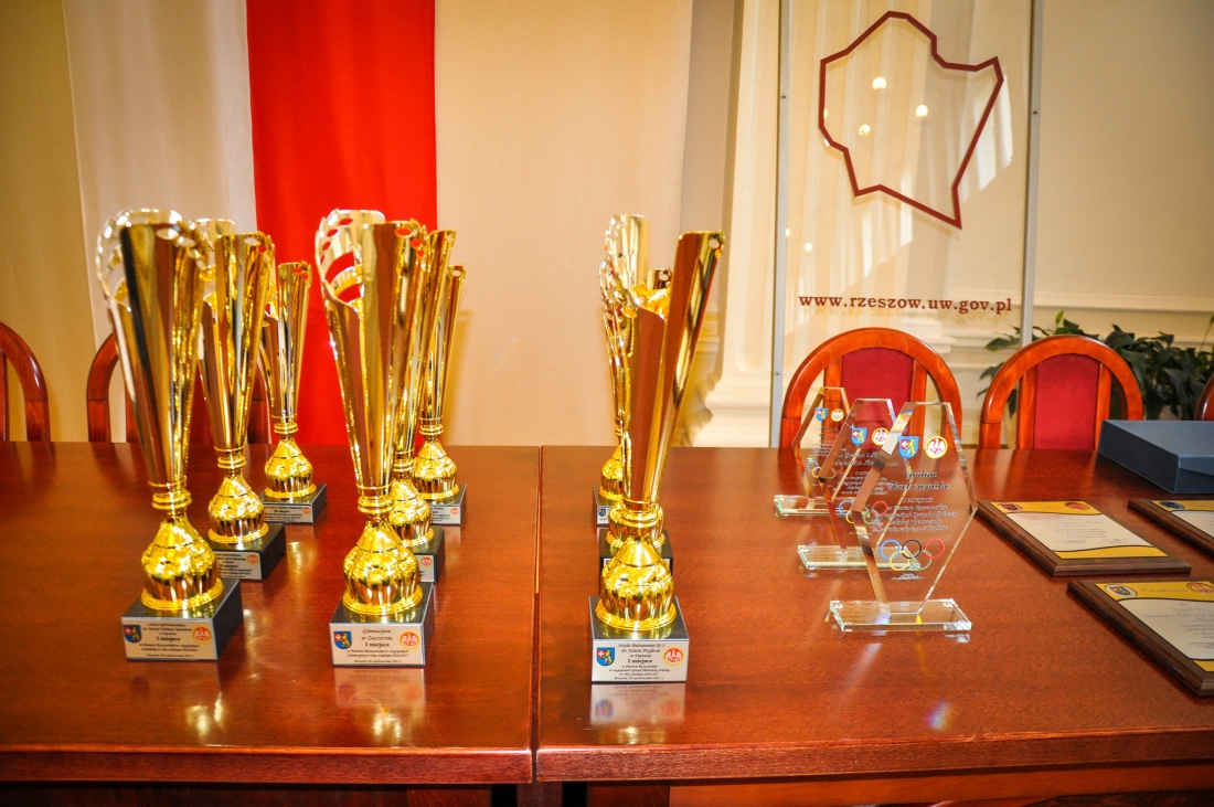 PODSUMOWANIE WSPÓŁZAWODNICTWA SPORTOWEGO DZIECI I MŁODZIEŻY W POWIECIE RZESZOWSKIM 2016/2017
