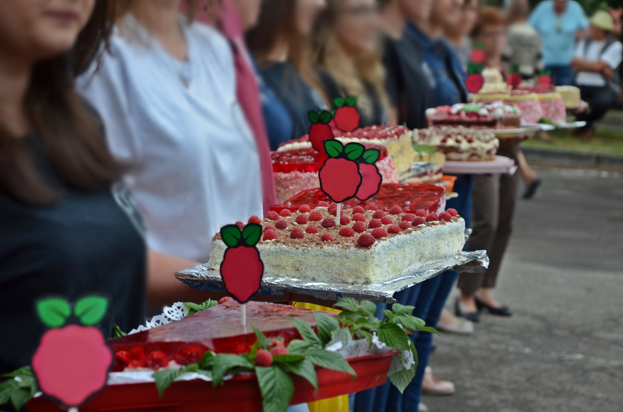 Malinowe Święto, którego partnerem był powiat rzeszowski