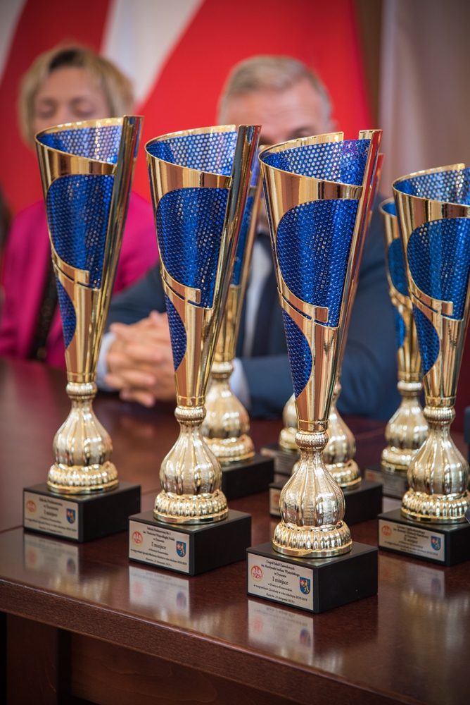 PODSUMOWANIE WSPÓŁZAWODNICTWA SPORTOWEGO  DZIECI I MŁODZIEŻY