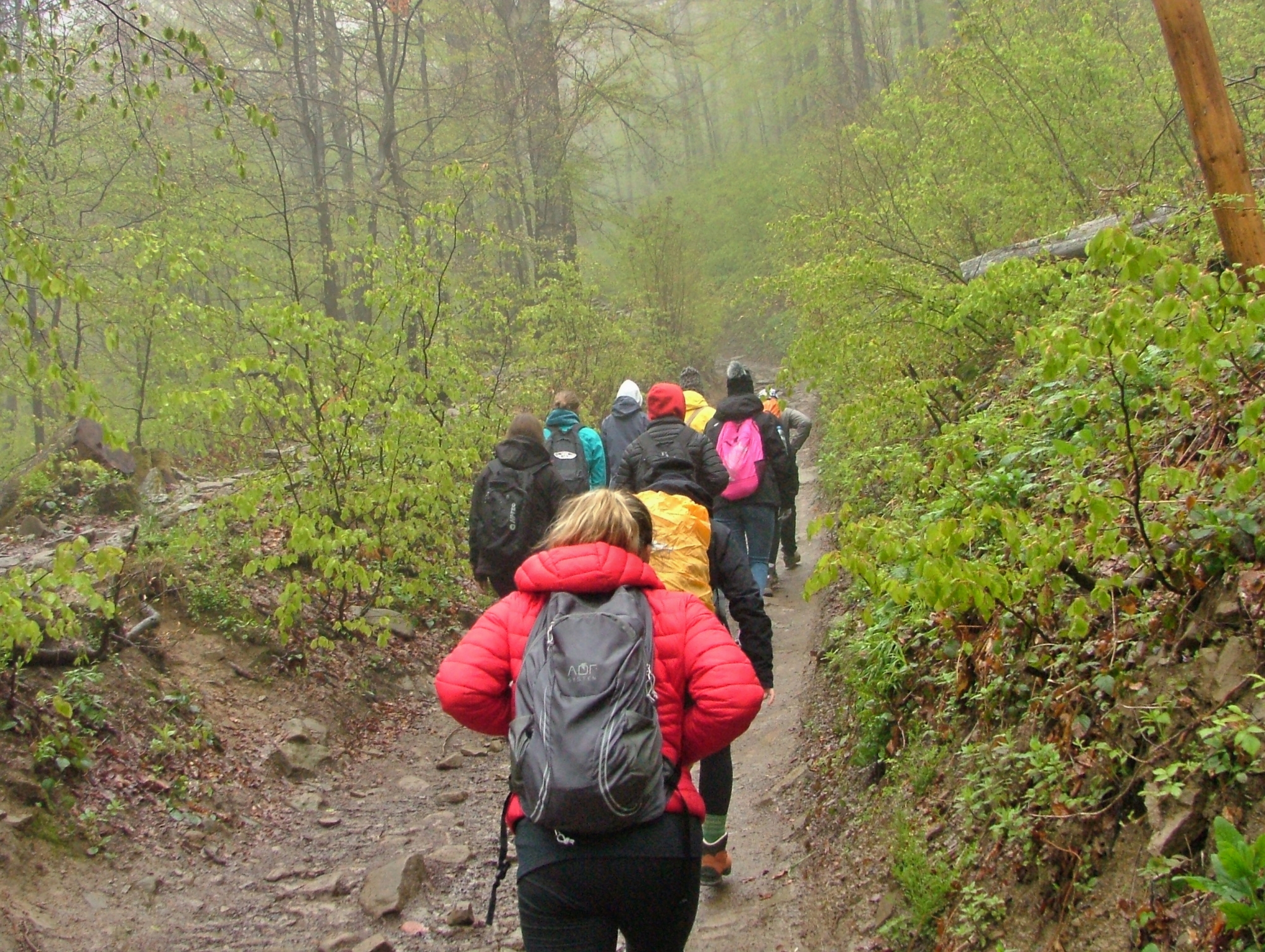 Obóz wędrowny polsko-słowackiej grupy młodzieży w Bieszczadach.
