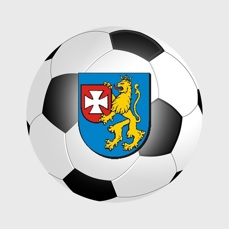 XIV Turniej Mikołajkowy Ludowych Zespołów Sportowych w Halowej Piłce Nożnej