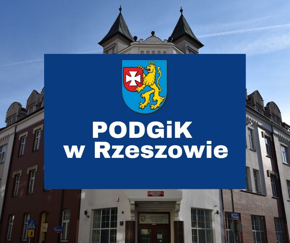 Rezultaty pracy powiatowej służby geodezyjnej i kartograficznej