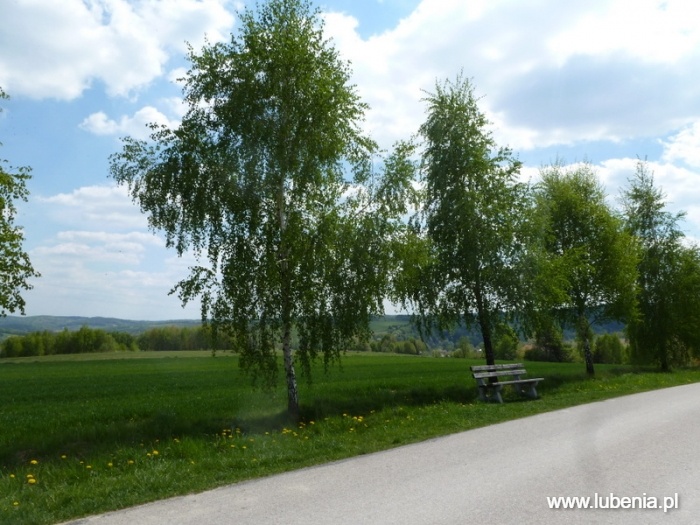 Rocznica sprzedaży części Lubeni