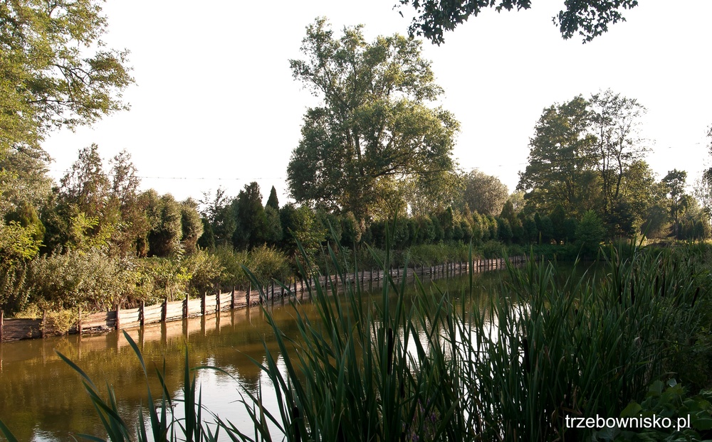 143 lata temu pożar strawił Łąkę