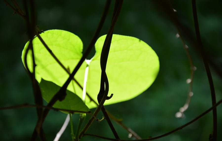 Konkurs Fotograficzny "Wspomnienia z Wakacji 2021"