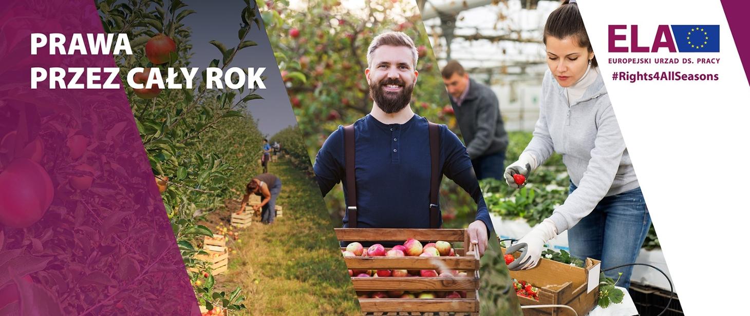 "Prawa przez cały rok" - Powiatowy Urząd Pracy w Rzeszowie włącza się w międzynarodową kampanię informacyjną