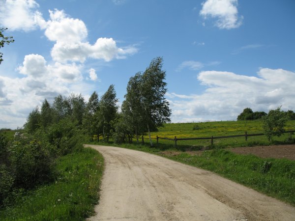 droga między łąkami